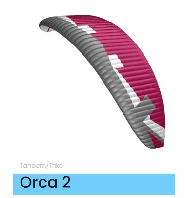 Orca2-2.JPG